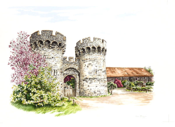 Cooling Castle